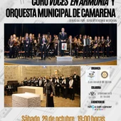 Toledo acoge este sábado un concierto solidario a favor de Afanion Toledo acoge este sábado un concierto solidario a favor de Afanion