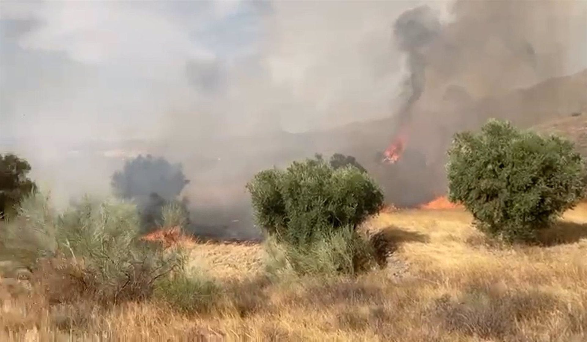 Un detenido por su presunta vinculación con el incendio en la Sierra de Gádor Un detenido por su presunta vinculación con el incendio en la Sierra de Gádor