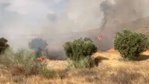 Un detenido por su presunta vinculación con el incendio en la Sierra de Gádor ONDA CERO ALMERÍA