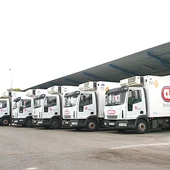 Pollos Arenas Pollos Arenas