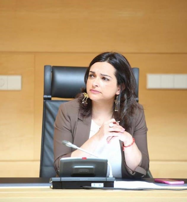 Alicia Palomo confirma que los concejales socialistas de El Espinar han interpuesto una denuncia por acoso Alicia Palomo confirma que los concejales socialistas de El Espinar han interpuesto una denuncia por acoso