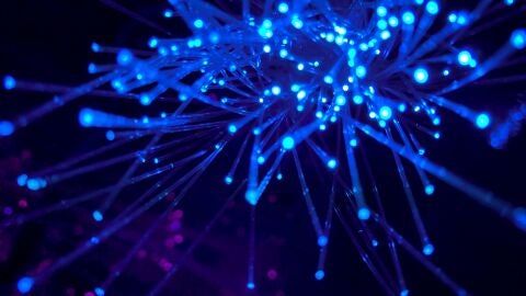 El hallazgo constituye un nuevo paradigma de la eficiencia mec&aacute;nica de la luz sobre la materia