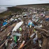 Contaminación en los océanos