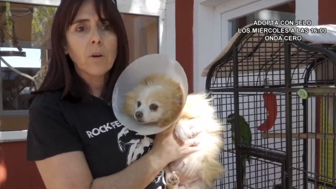 Adopta en JELO: Anabel, la perrita que ha pasado su vida encerrada Adopta en JELO: Anabel, la perrita que ha pasado su vida encerrada