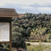 Novedades en El Borril y el Vivero Educativo Taxus de Toledo