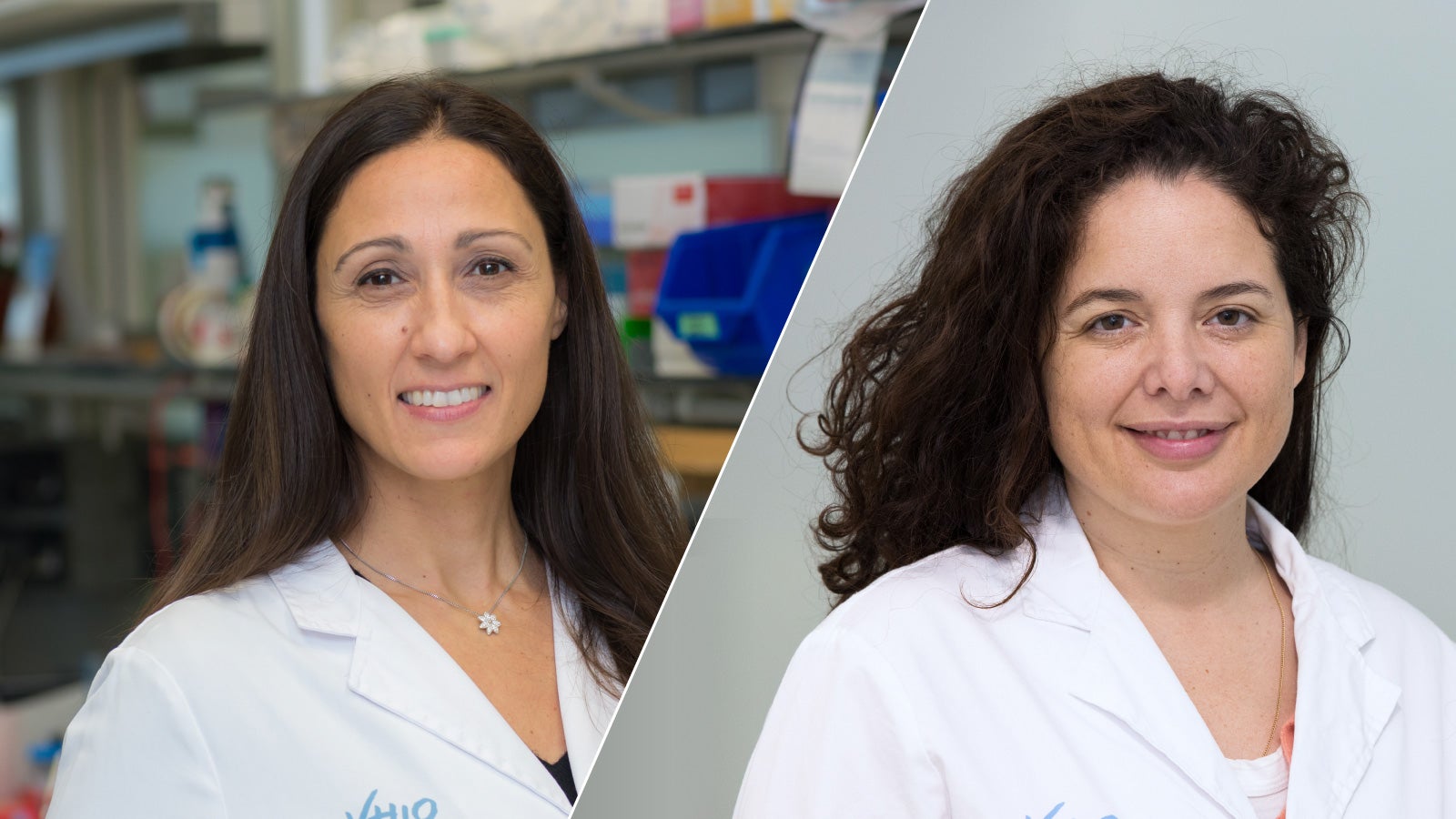 Éxito del primer ensayo clínico de Omomyc, un fármaco experimental que frenaría el cáncer Éxito del primer ensayo clínico de Omomyc, un fármaco experimental que frenaría el cáncer