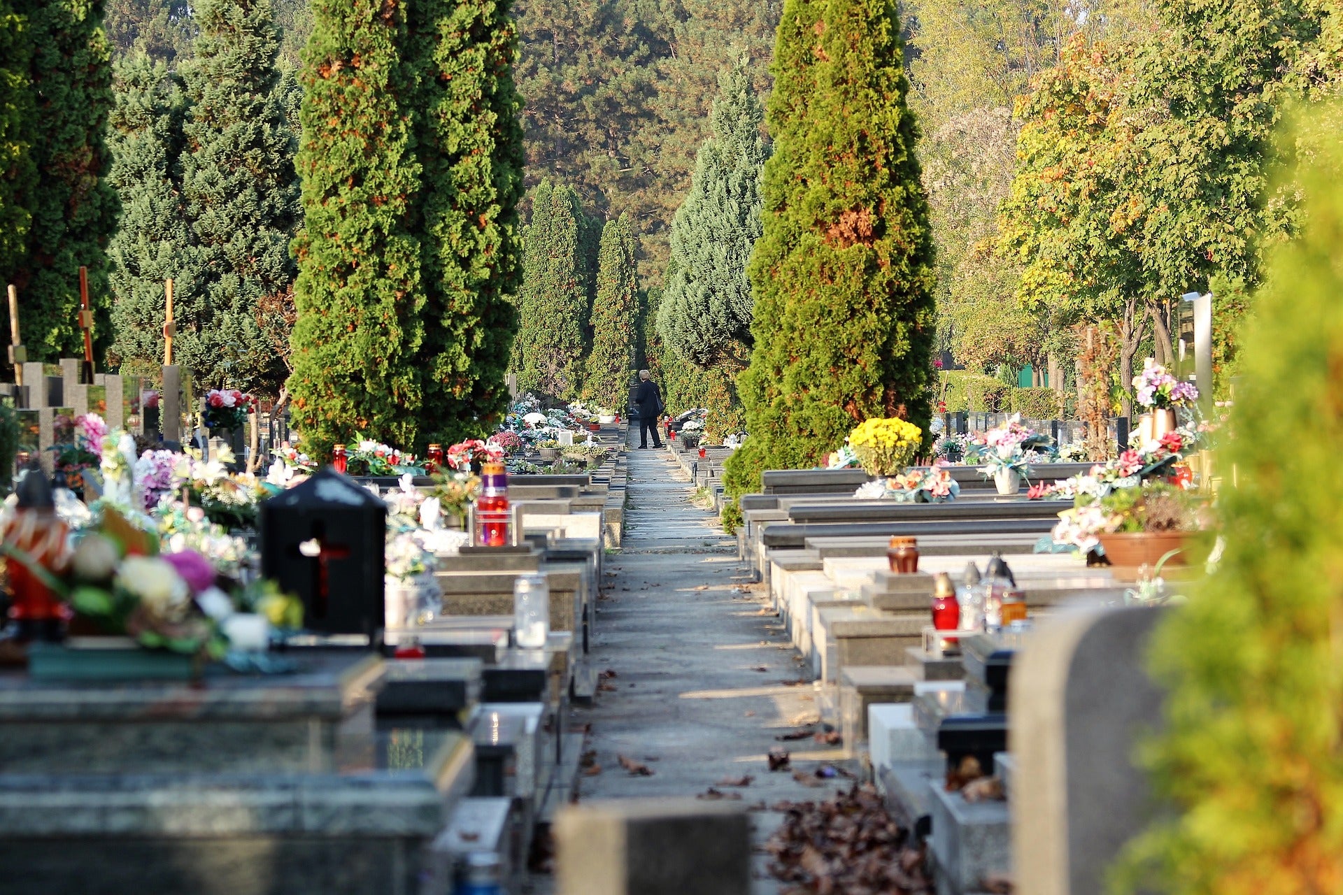 Puente de Todos los Santos: en qué comunidades es festivo el martes 1 de noviembre Puente de Todos los Santos: en qué comunidades es festivo el martes 1 de noviembre