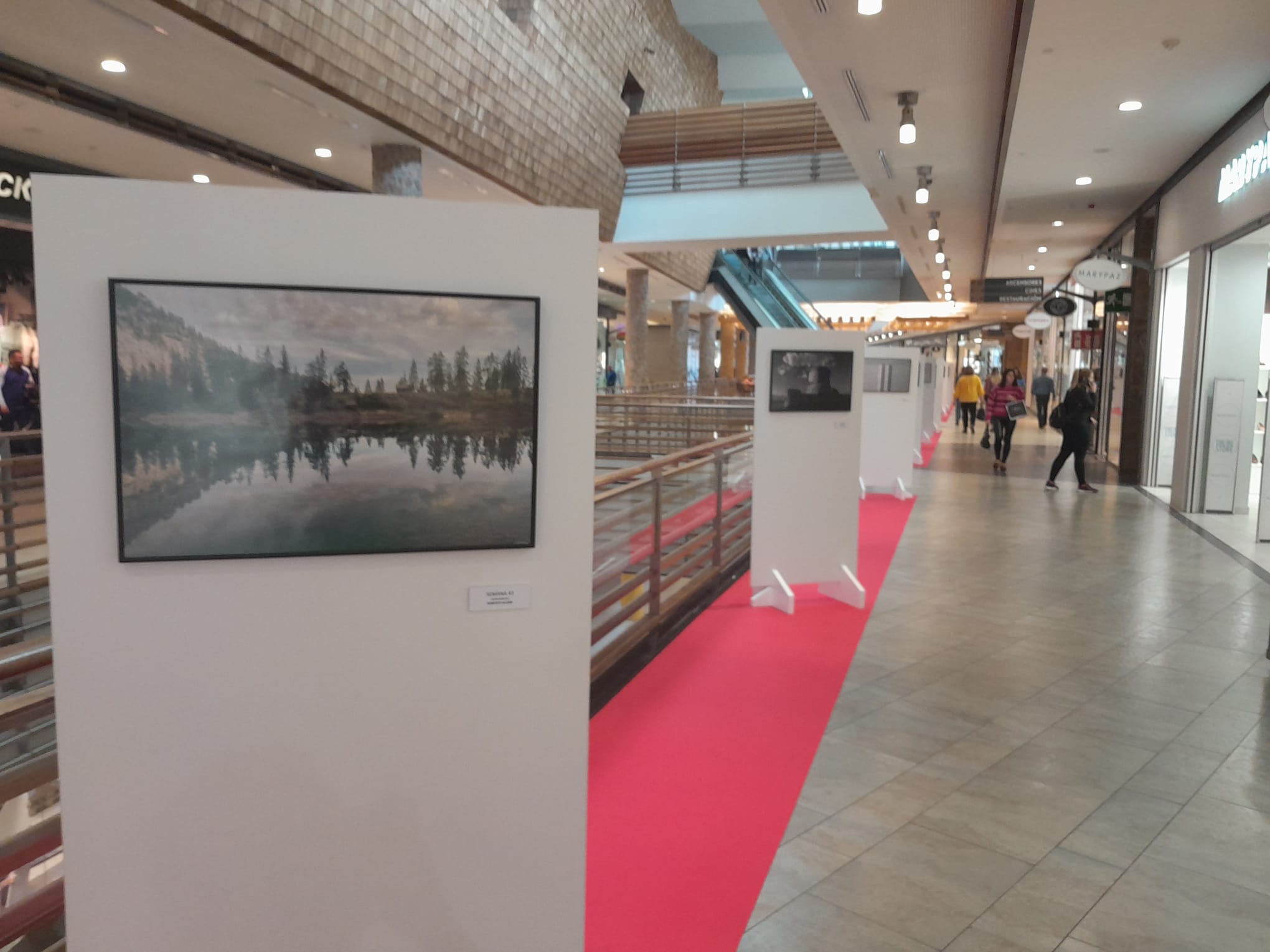Luz del Tajo acoge una exposición fotográfica de artistas toledanos Luz del Tajo acoge una exposición fotográfica de artistas toledanos
