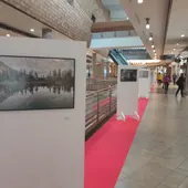 Luz del Tajo acoge una exposición fotográfica de artistas toledanos Luz del Tajo acoge una exposición fotográfica de artistas toledanos