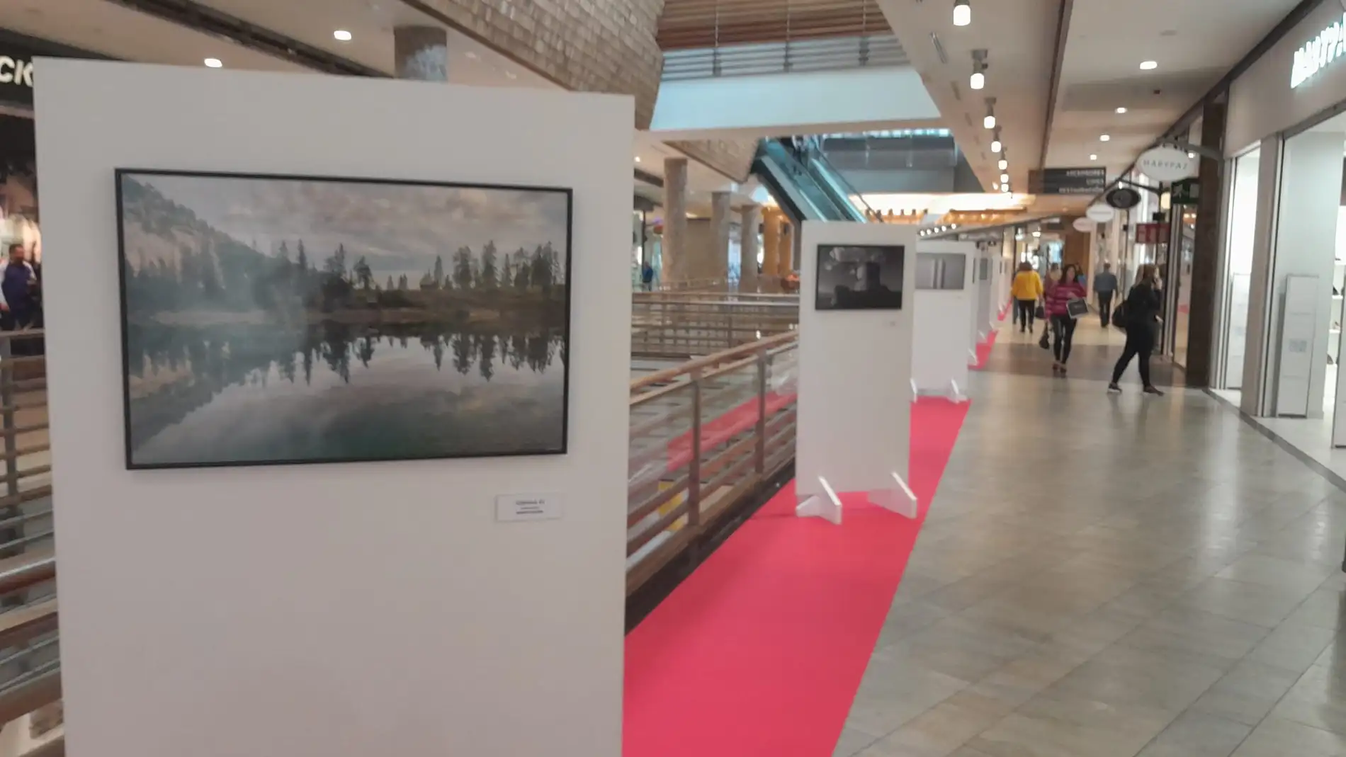 Luz del Tajo acoge una exposición fotográfica de artistas toledanos