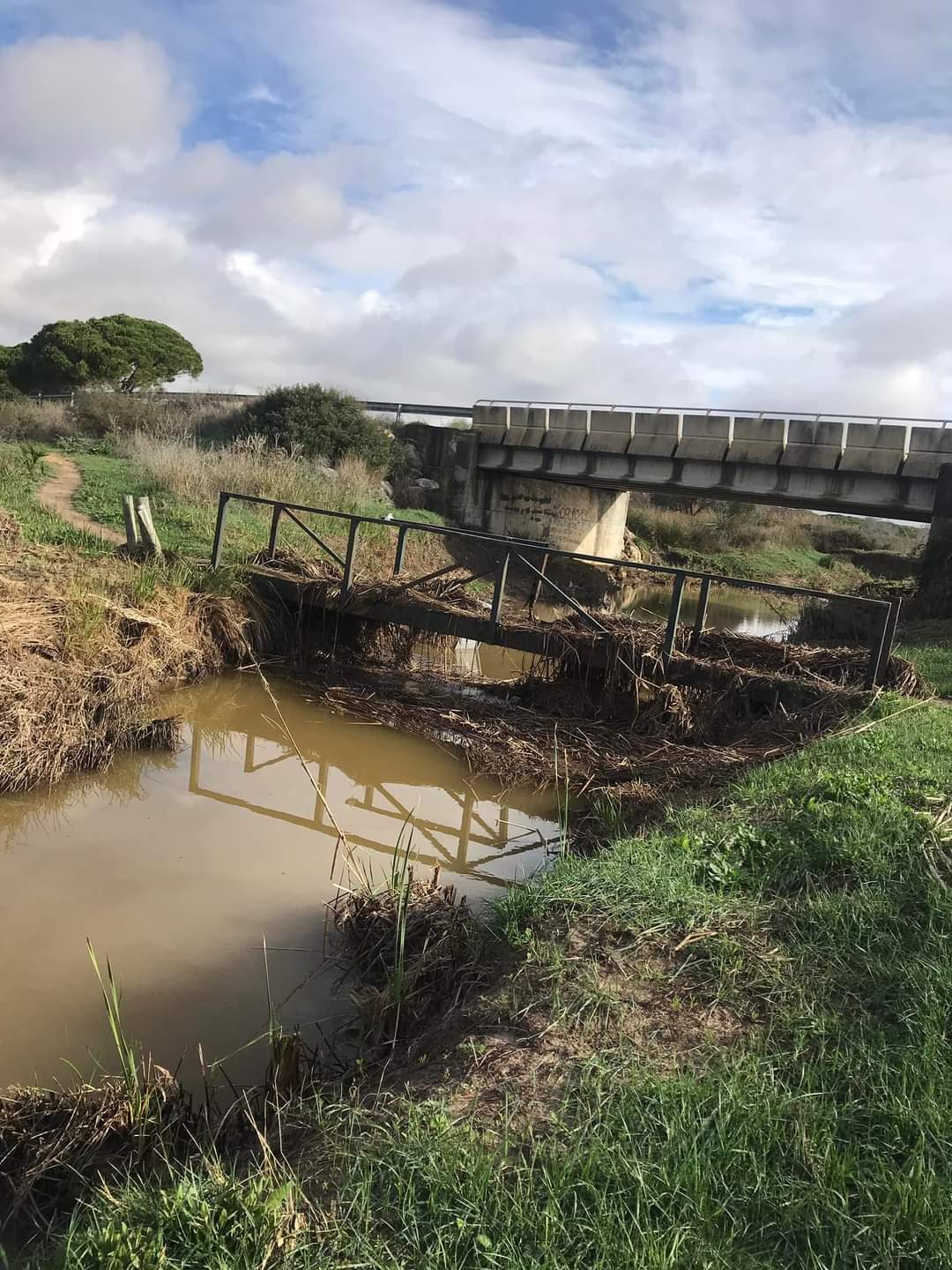 Los vecinos y vecinas de 'El Marquesado' piden acciones urgentes en su barriada Los vecinos y vecinas de 'El Marquesado' piden acciones urgentes en su barriada