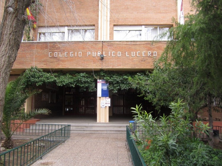 Ecologistas en Acción afirma que ningún informe técnico avala el arranque de olmos en el Colegio 'Lucero' de Valdepeñas Ecologistas en Acción afirma que ningún informe técnico avala el arranque de olmos en el Colegio 'Lucero' de Valdepeñas
