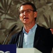 El presidente del PP, Alberto Núñez Feijóo, en una foto de archivo