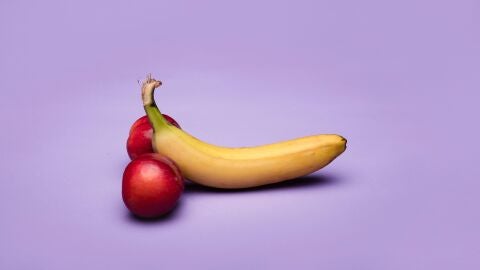 La evolución del pene