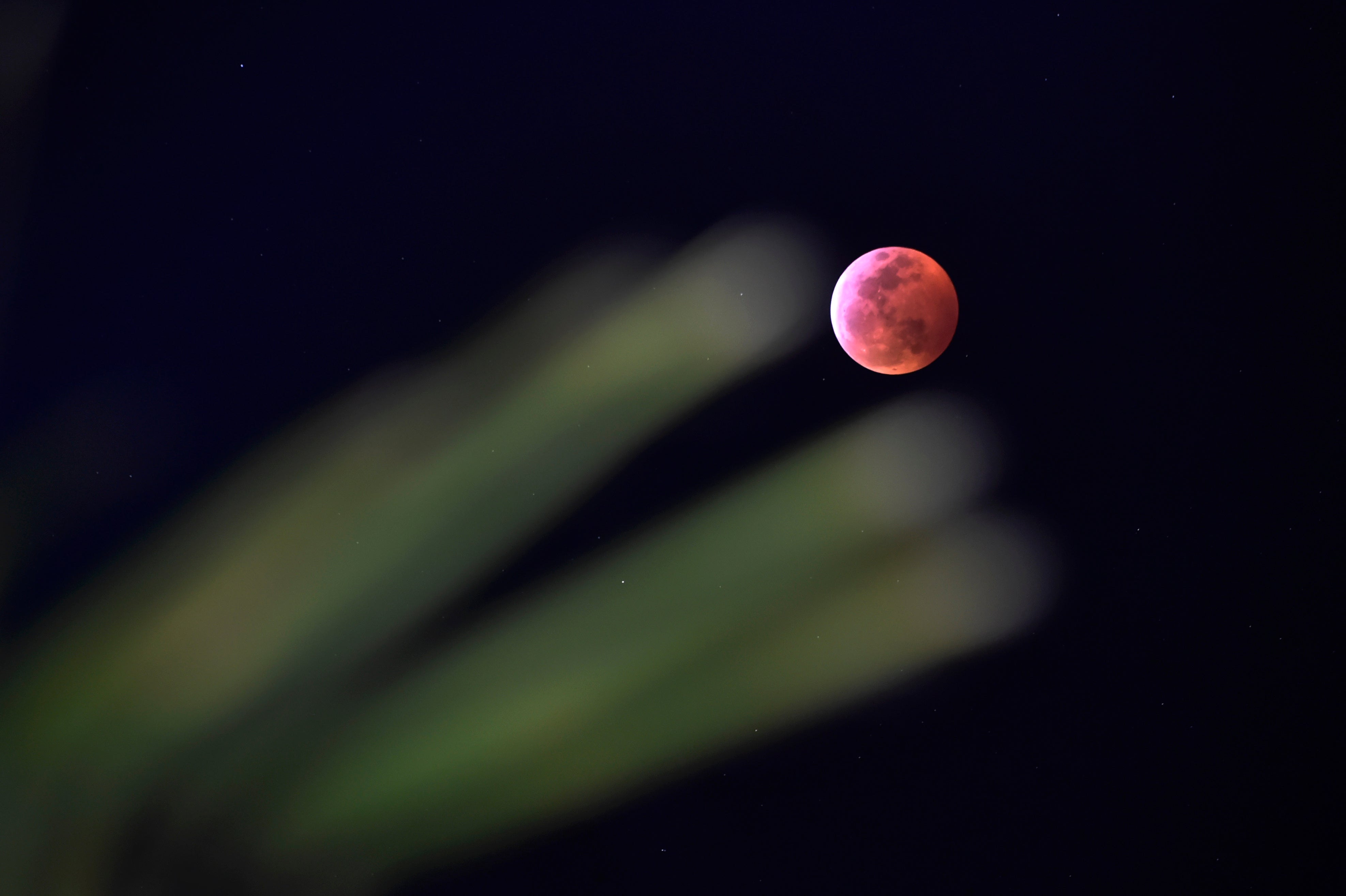 Todo sobre el eclipse solar del 8 de abril: desde dónde verlo, riesgos y por qué ocurre Todo sobre el eclipse solar del 8 de abril: desde dónde verlo, riesgos y por qué ocurre