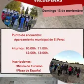 Visita guiada a la Bodega Romana de El Peral Visita guiada a la Bodega Romana de El Peral