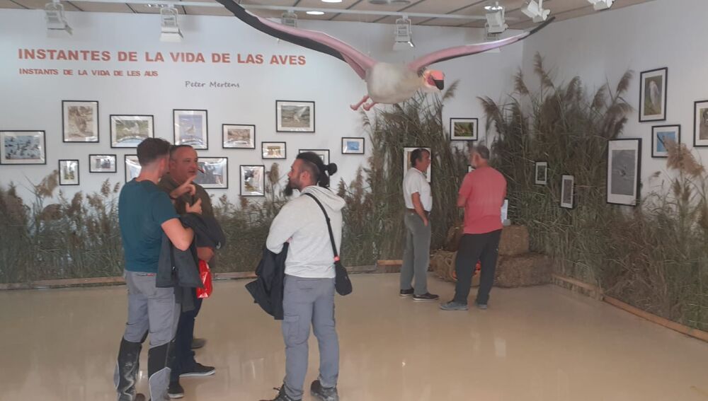 Exposición ‘Instantes de la vida de las aves’ en el parque natural de El Hondo.