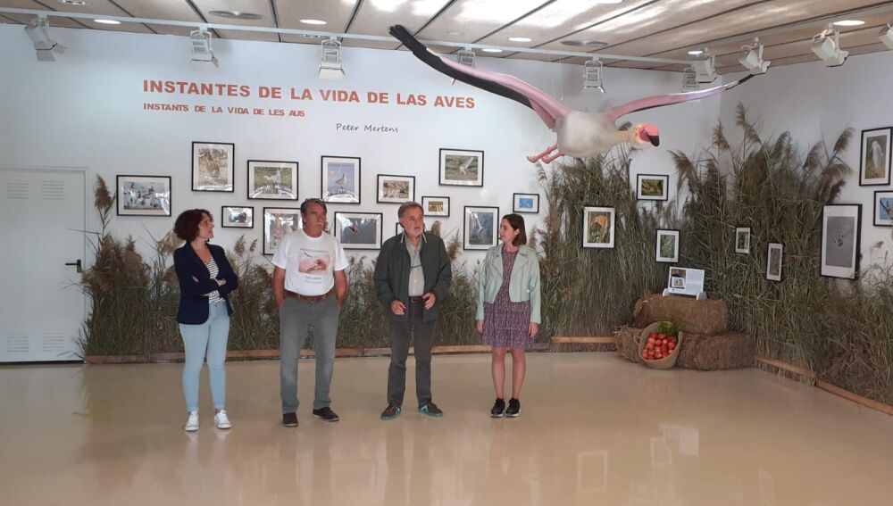 Inauguración en El Hondo de la exposición ‘Instantes de la vida de las aves’.