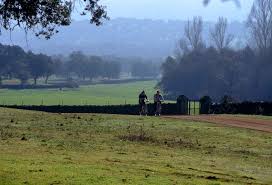 Fundación Prode inicia la campaña 2023 para la regeneración de la dehesa Fundación Prode inicia la campaña 2023 para la regeneración de la dehesa