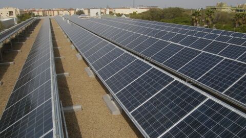 Placas solares del proyecto iPredice