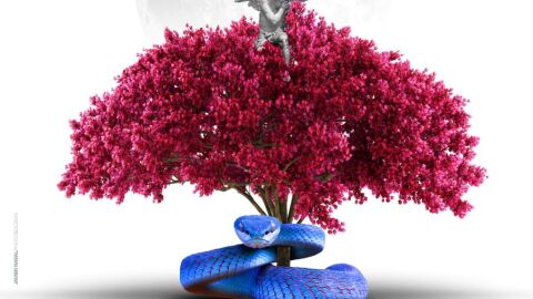 Cartel de El Amor Enamorado