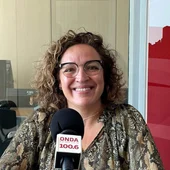lourdes caselles portavoz gobierno benidorm lourdes caselles portavoz gobierno benidorm