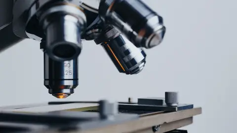 Un microscopio Las claves de 'La brújula': Nuria Montserrat y Manel Esteller, galardonados con los premios Constantes y Vitales