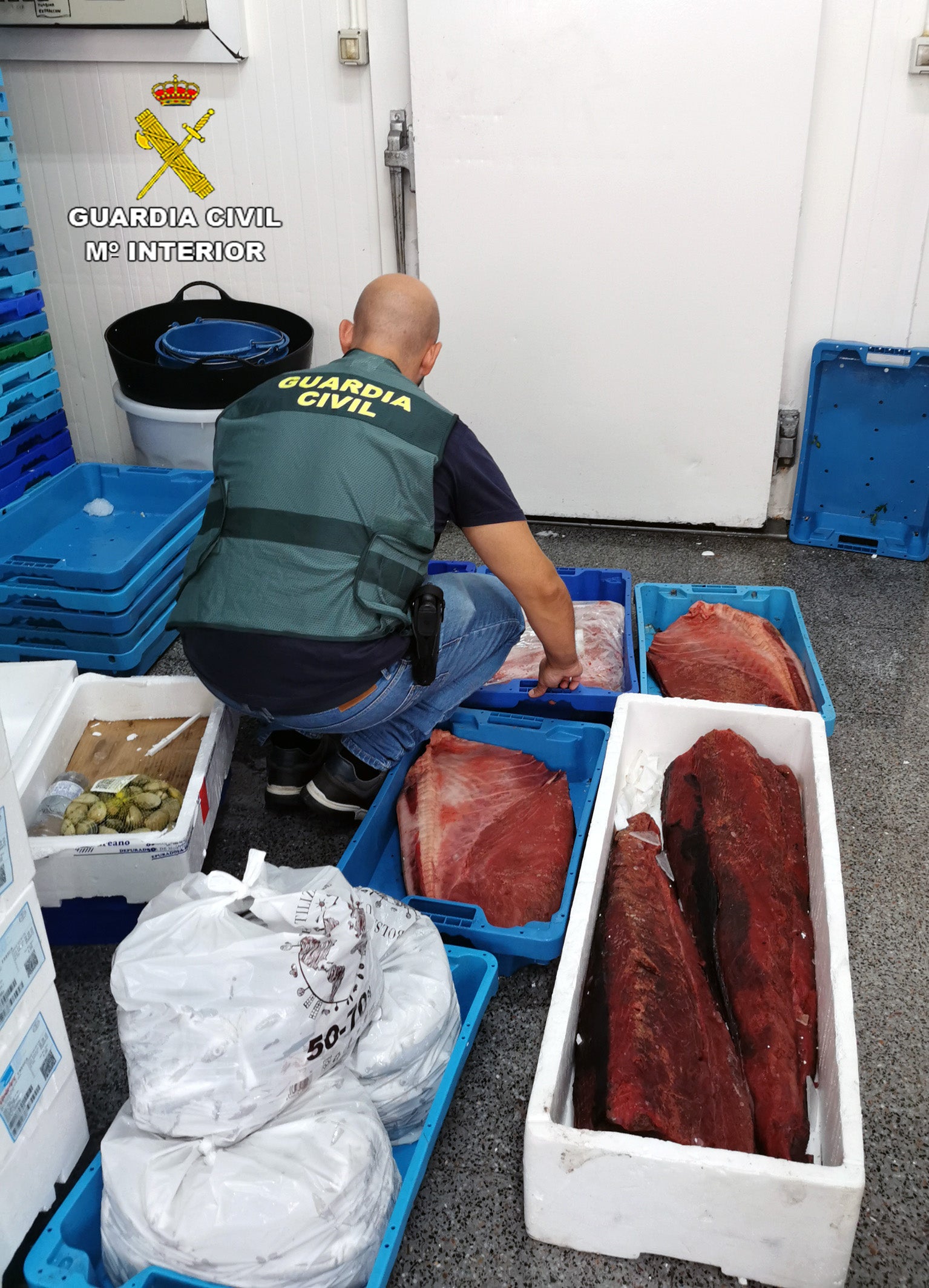La Guardia Civil desmantela un grupo criminal dedicado al robo de atún rojo La Guardia Civil desmantela un grupo criminal dedicado al robo de atún rojo