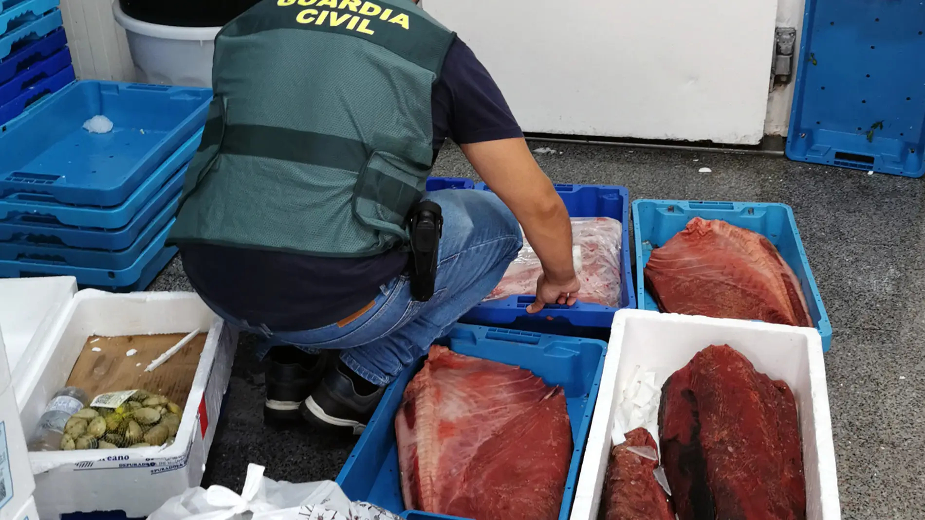 La Guardia Civil desmantela un grupo criminal dedicado al robo de atún rojo