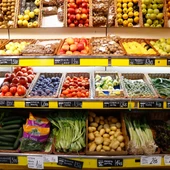 Alimentos Alimentos