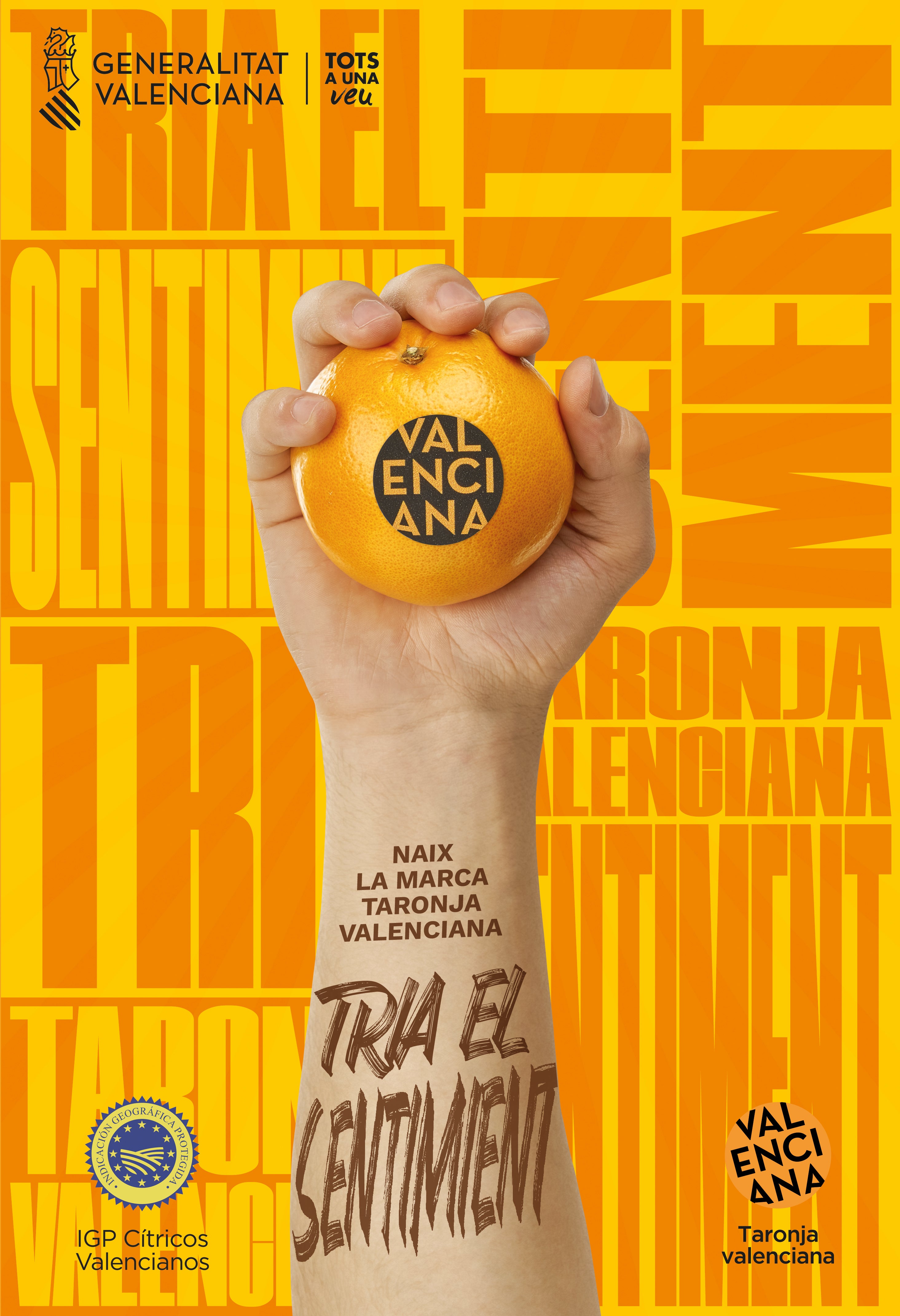 Las naranjas de la Comunitat serán identificadas con la marca "Naranja Valenciana" para promocionar su consumo Las naranjas de la Comunitat serán identificadas con la marca "Naranja Valenciana" para promocionar su consumo