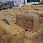 Los traficantes almacenaban cuatro toneladas de hachís en San Pedro del Pinatar