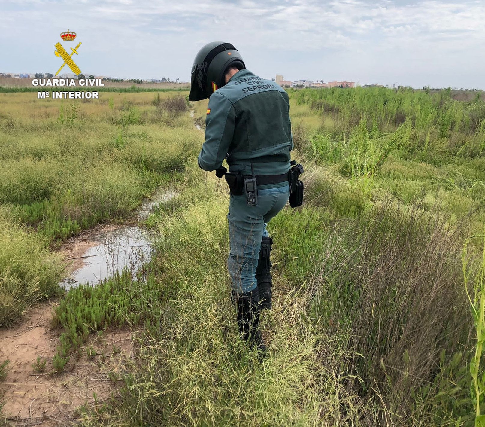 La Guardia Civil sorprende “infraganti” a una persona vertiendo purines en un espacio natural protegido de Nules La Guardia Civil sorprende “infraganti” a una persona vertiendo purines en un espacio natural protegido de Nules
