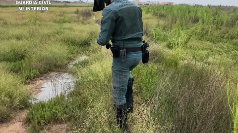 Un agente del SEPRONA de la Guardia Civil Un agente del SEPRONA de la Guardia Civil