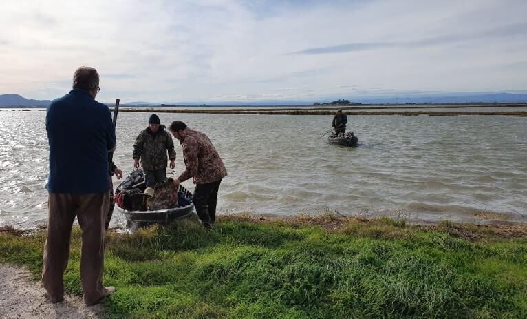 Sueca procede al cierre del primer perímetro del coto para la temporada de caza de aves acuáticas Sueca procede al cierre del primer perímetro del coto para la temporada de caza de aves acuáticas