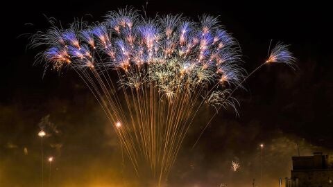 Palmera de fuegos artificiales en una Nit de l'Alb&agrave; de Elche.