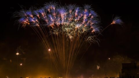 Palmera de fuegos artificiales en una Nit de l'Alb&agrave; de Elche.