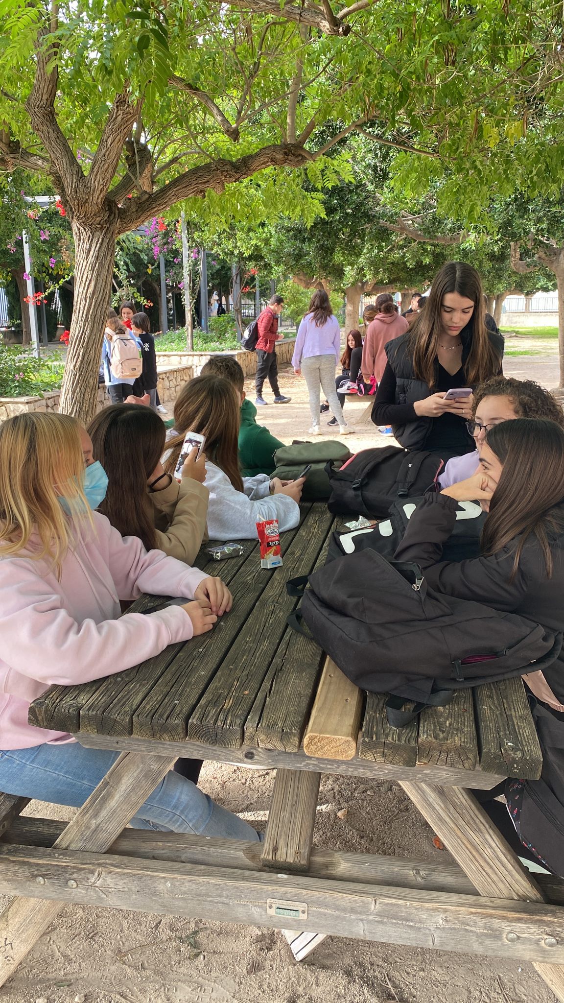 El IES Càrcer recomienda a los alumnos con síntomas de gripe que usen la mascarilla para evitar contagios El IES Càrcer recomienda a los alumnos con síntomas de gripe que usen la mascarilla para evitar contagios