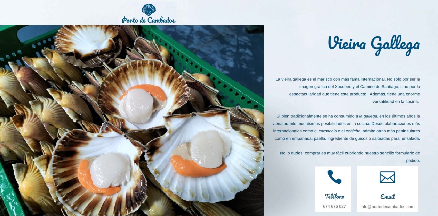 Cociñamos vieira galega de Porto de Cambados con Aitor Paz desde O Novo Tuno na Illa de Arousa Cociñamos vieira galega de Porto de Cambados con Aitor Paz desde O Novo Tuno na Illa de Arousa