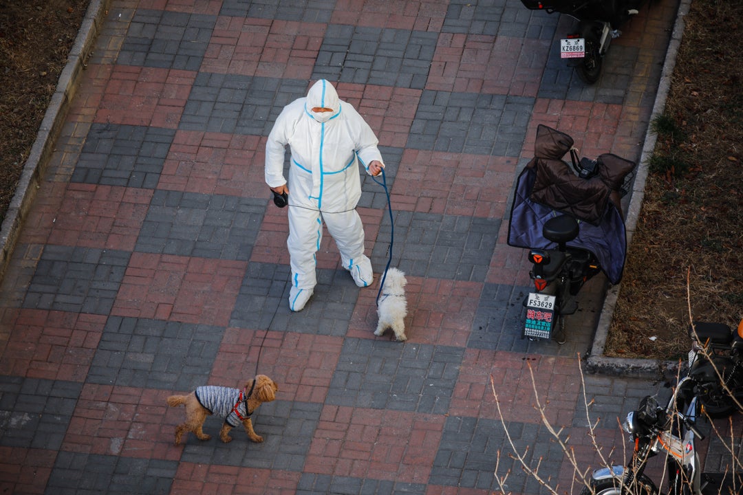 Alerta en China por el Covid: récord de contagios mientras crecen las protestas contra las restricciones Alerta en China por el Covid: récord de contagios mientras crecen las protestas contra las restricciones