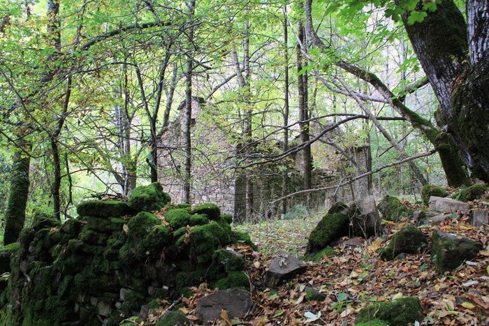 La Pardina del Señor, una ruta imprescindible en otoño La Pardina del Señor, una ruta imprescindible en otoño