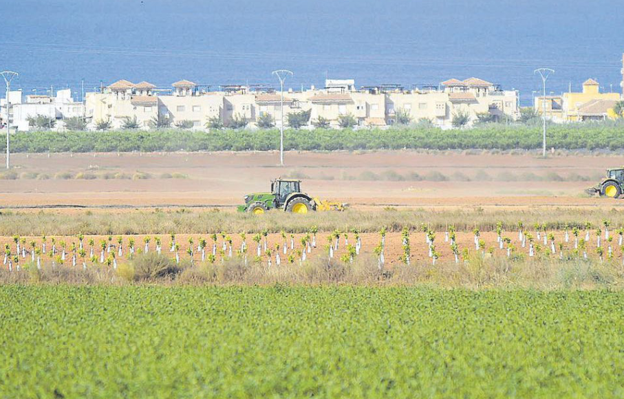 La CARM ha obligado a restituir 816 hectáreas de regadío ilegal a su condición original La CARM ha obligado a restituir 816 hectáreas de regadío ilegal a su condición original