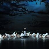 'El Lago de los Cisnes'