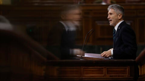 El ministro de Interior, Fernando Grande - Marlaska, durante su comparecencia en el Congreso. EFE/ JUAN CARLOS HIDALGO