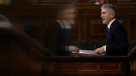 El ministro de Interior, Fernando Grande - Marlaska, durante su comparecencia en el Congreso El ministro de Interior, Fernando Grande - Marlaska, durante su comparecencia en el Congreso. EFE/ JUAN CARLOS HIDALGO