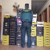La Guardia Civil efectúa en Palencia 16 denuncias por recolectar setas furtivamente