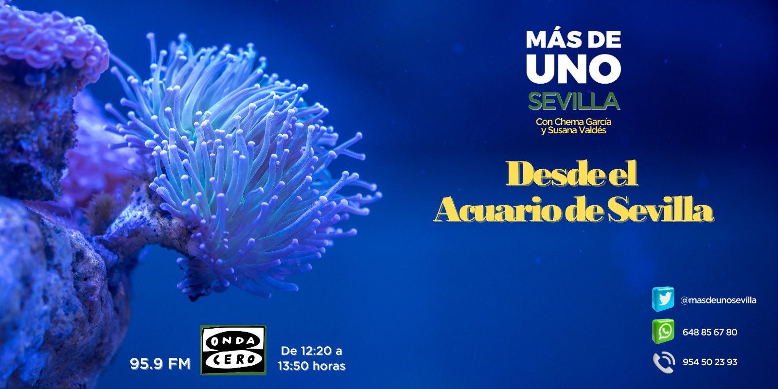 Más de uno Sevilla 02/12/2022 Más de uno Sevilla 02/12/2022