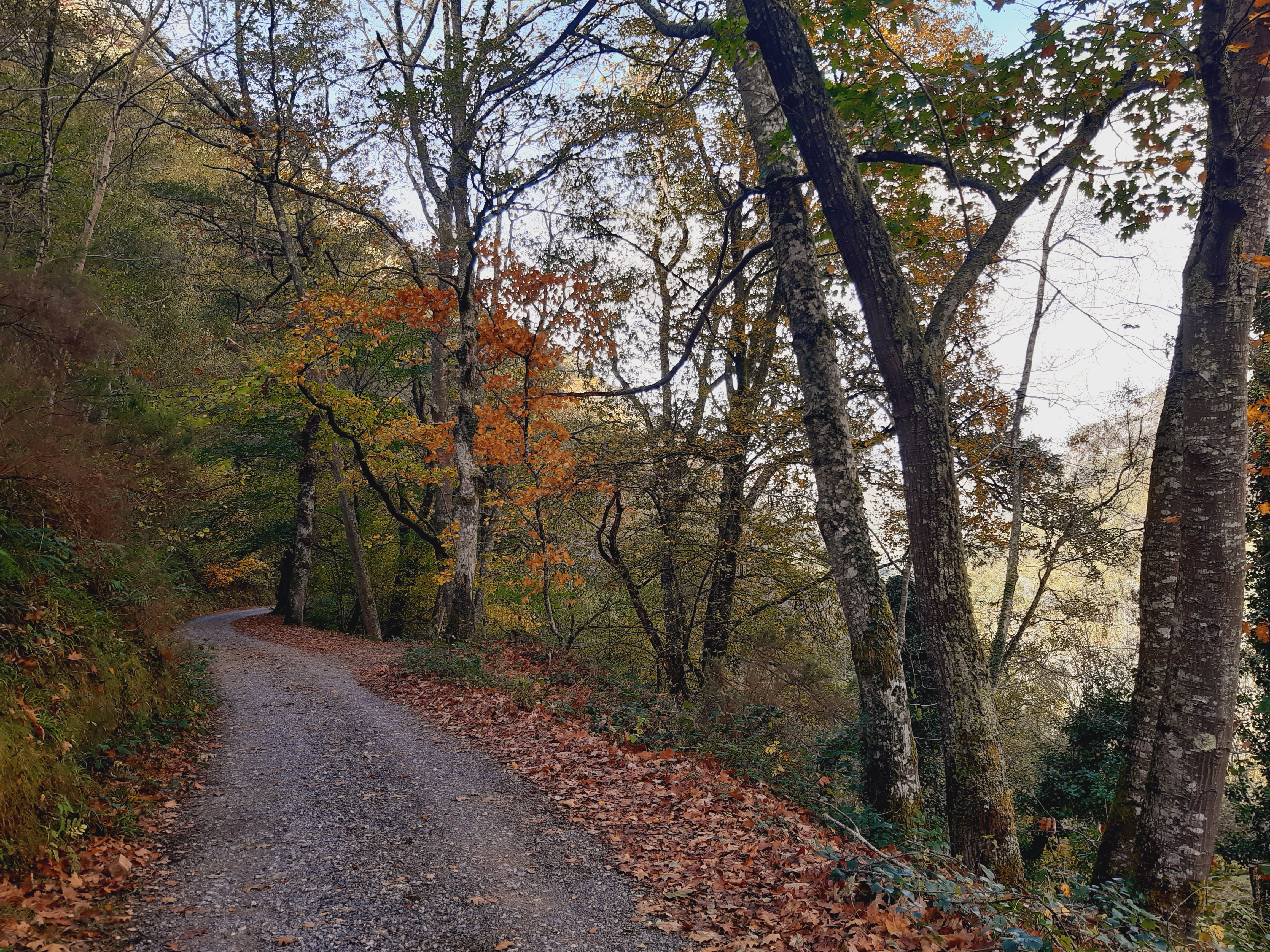 Asturias Viajera 02/12/2022 Asturias Viajera 02/12/2022