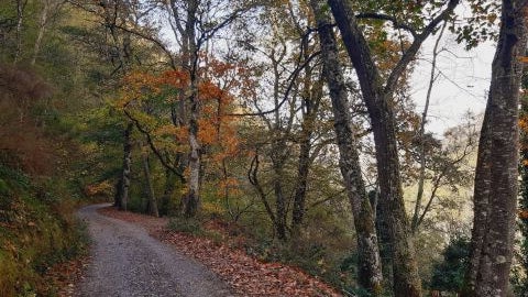 Oto&ntilde;o en Asturias