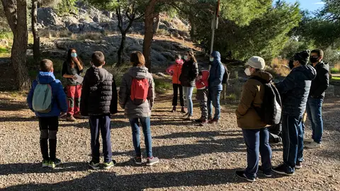 Castelló realizará una ruta al Tossal Gros para celebrar el Día Mundial de las Montañas Castelló realizará una ruta al Tossal Gros para celebrar el Día Mundial de las Montañas